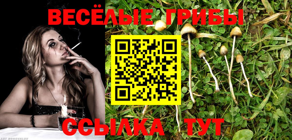 Псилоцибиновые грибы ЛСД Елабуга